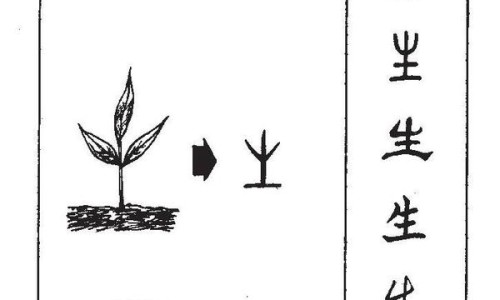 乔麦枕蚂蚁庄园-乔麦枕头对婴儿好不好网- 乔麦枕头用了有什么好处知识,分享乔麦皮枕头