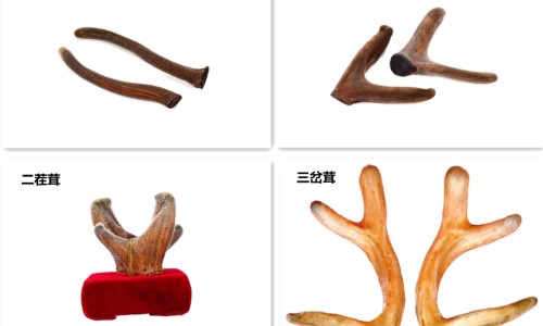 乔麦枕会生虫吗-乔麦枕头对婴儿好不好网- 乔麦枕头用了有什么好处知识,分享乔麦皮枕头