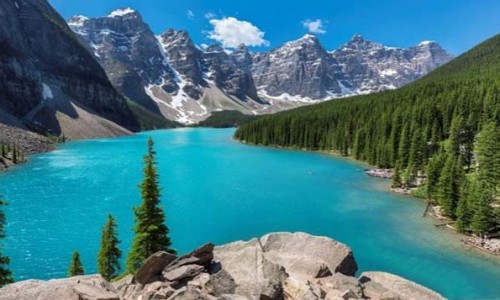 乔麦忱有什么好处-乔麦枕头对婴儿好不好网- 乔麦枕头用了有什么好处知识,分享乔麦皮枕头